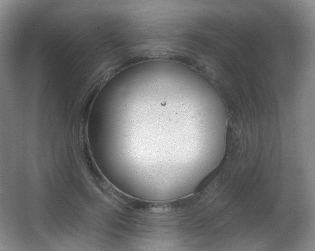 X0000062930744200601131114