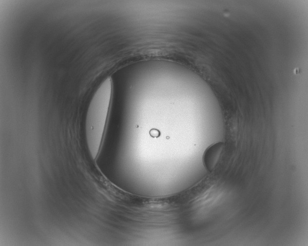 X0000062930746200601131114