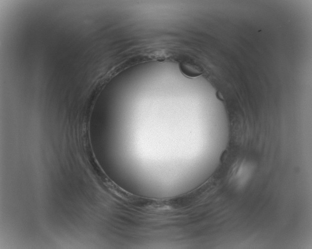 X0000062930747200601131114