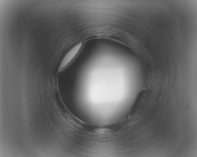 X0000062930748200601131114