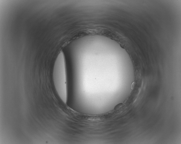 X0000062930749200601131114