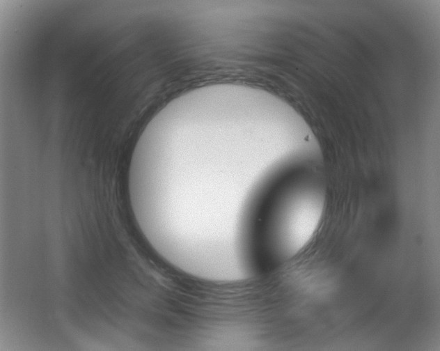 X0000062930750200601131114