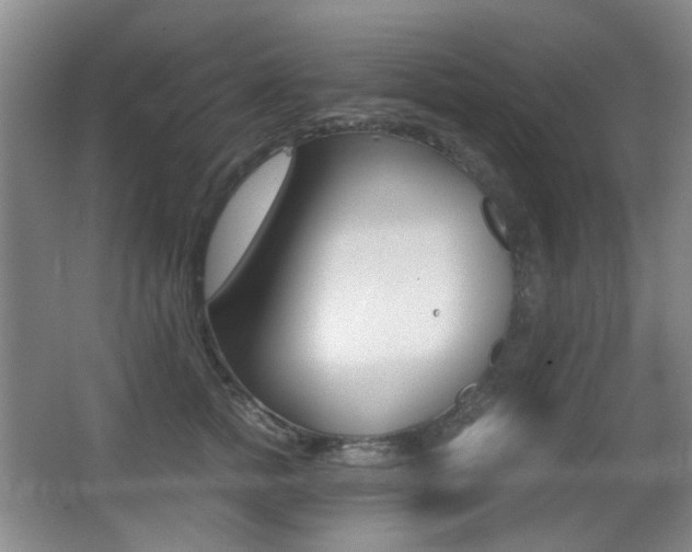X0000062930758200601131114