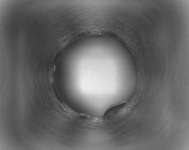 X0000062930768200601131114