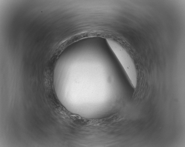 X0000062930773200601131113