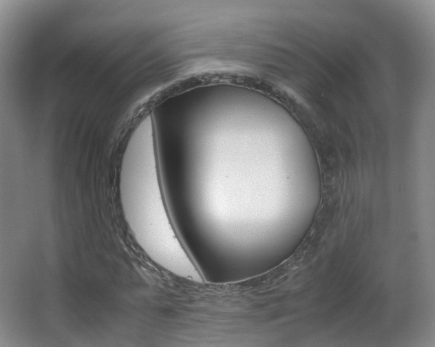 X0000062930775200601131113