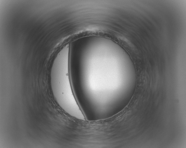 X0000062930776200601131113