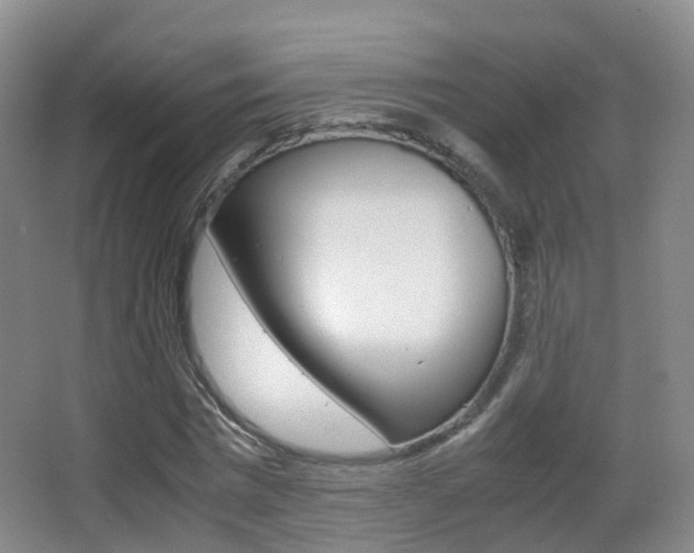 X0000062930777200601131113