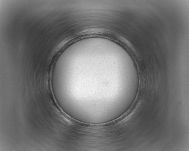 X0000062930778200601131113