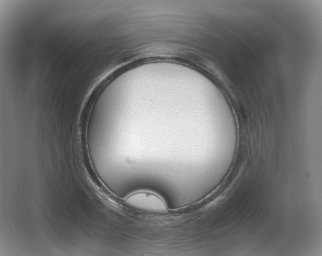 X0000062930779200601131113