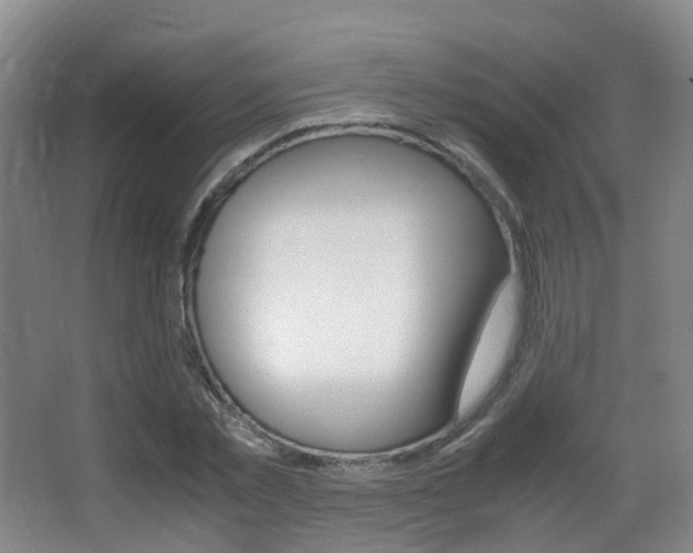 X0000062930781200601131113