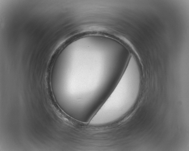 X0000062930783200601131113