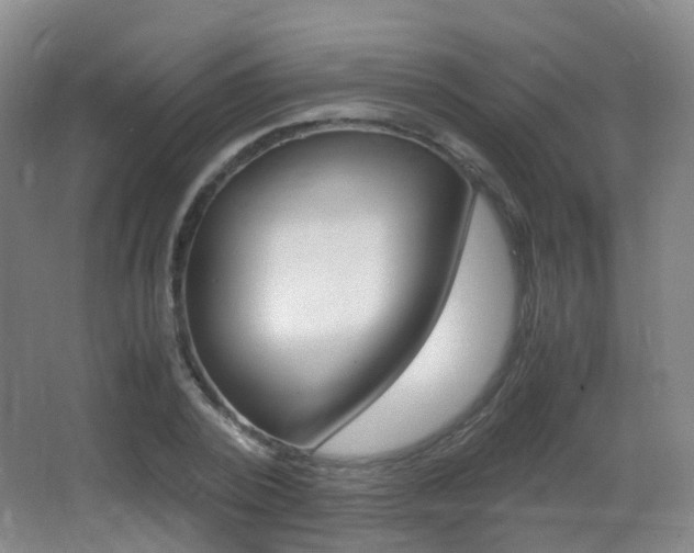 X0000062930784200601131113