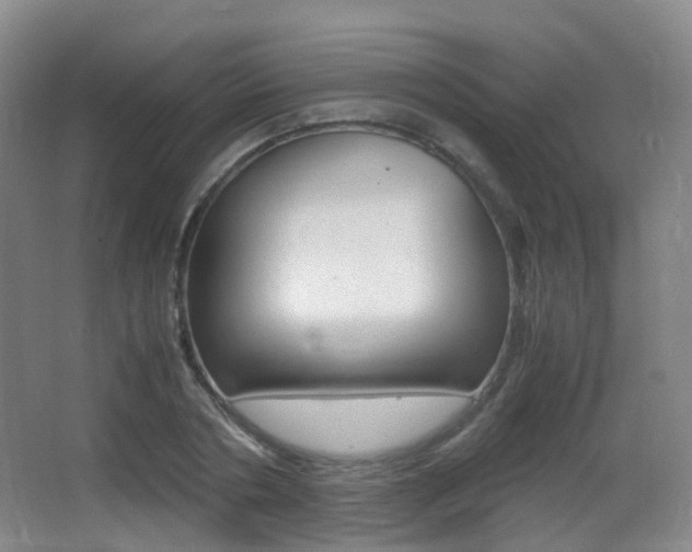 X0000062930786200601131113