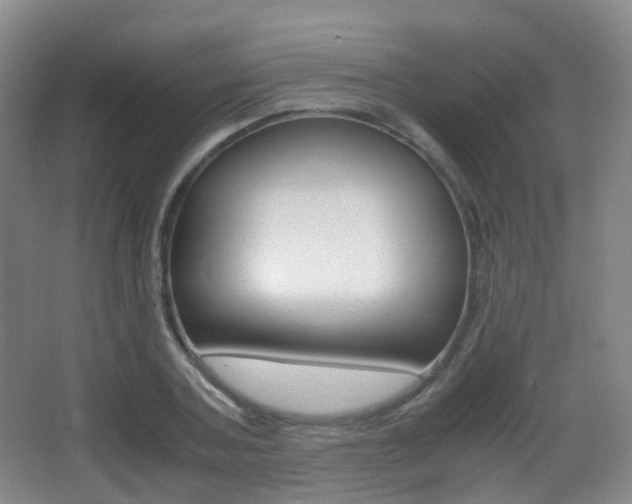 X0000062930787200601131113