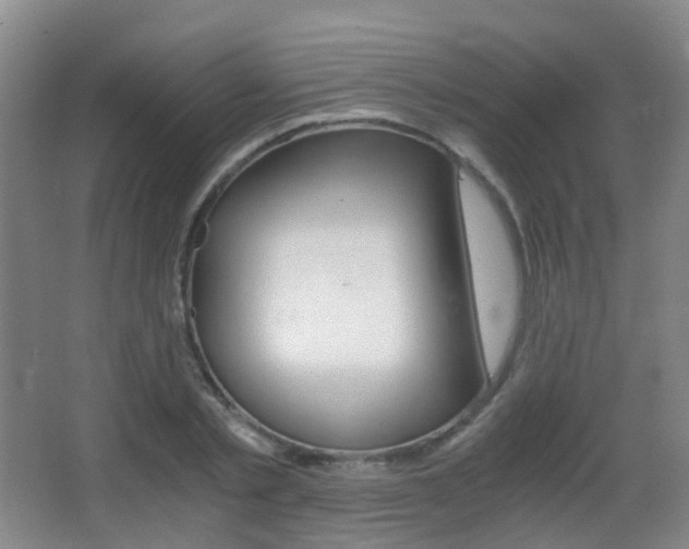 X0000062930789200601131113