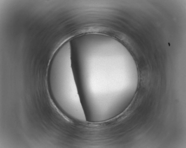 X0000062930794200601131113