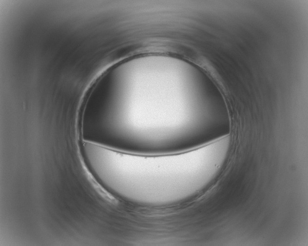 X0000062930795200601131113