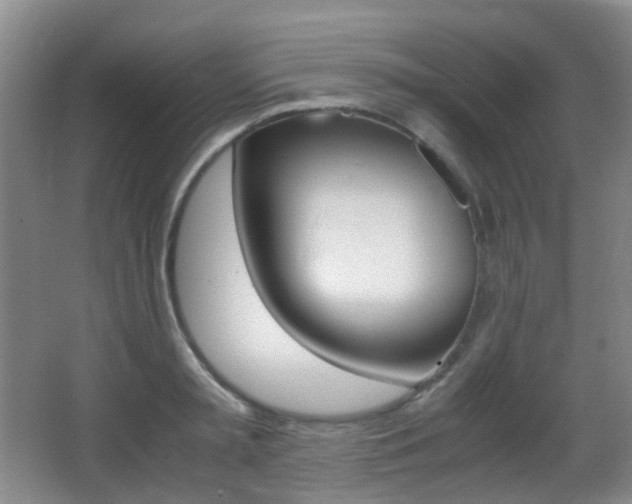 X0000062930797200601131113