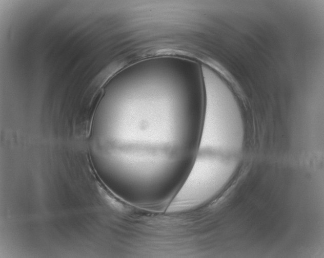X0000062930801200601131113