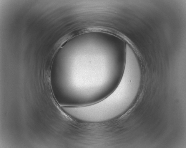 X0000062930809200601131112