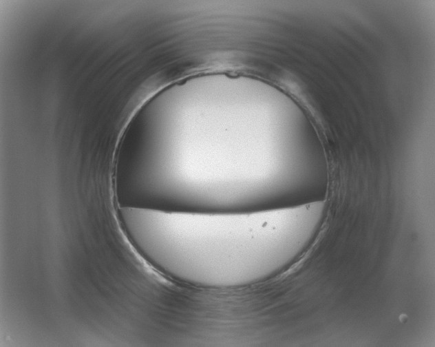 X0000062930810200601131112