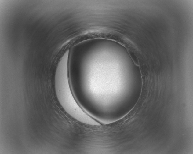X0000062930822200601131112