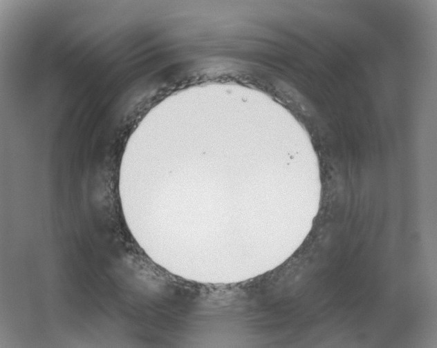 X0000062930824200601131112