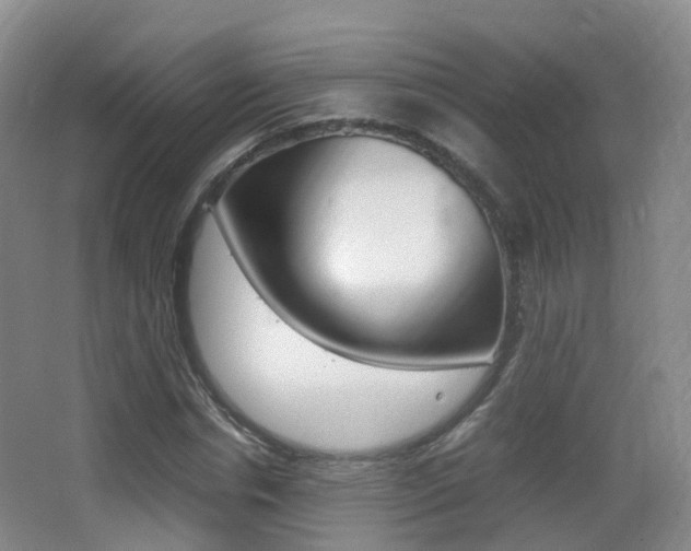 X0000062930826200601131112