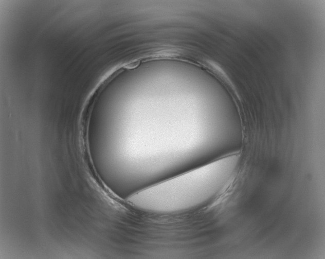 X0000062930835200601131112