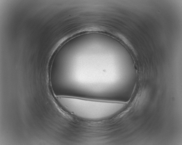 X0000062930837200601131112