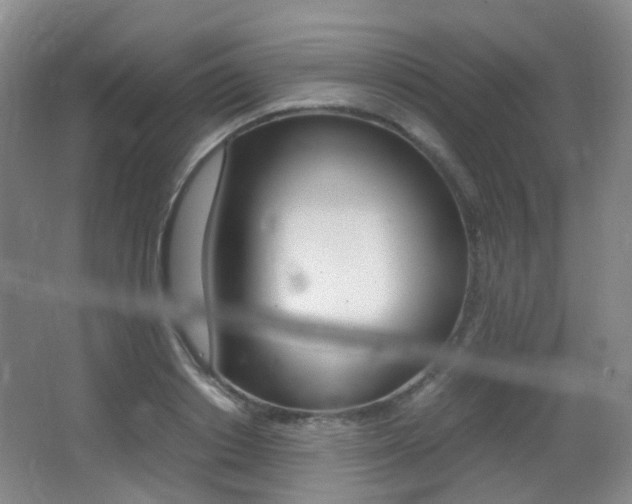 X0000062930842200601131112