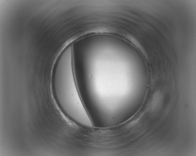 X0000062930845200601131112