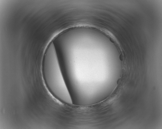 X0000062930847200601131112