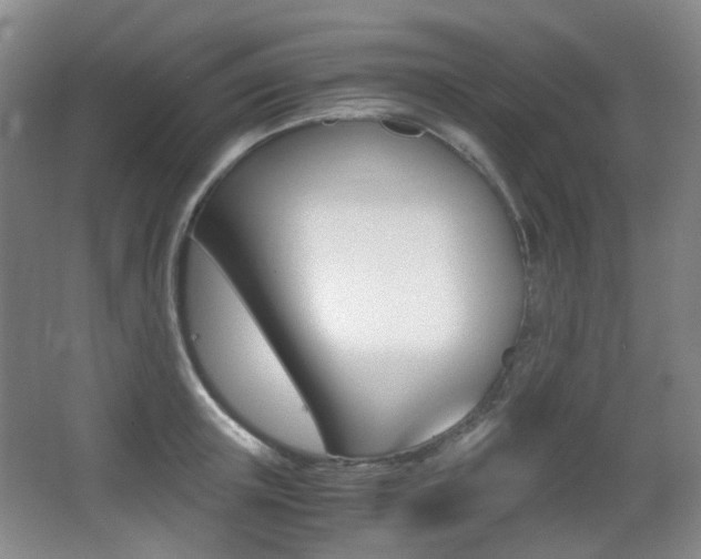 X0000062930851200601131112