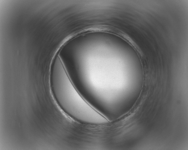 X0000062930853200601131112