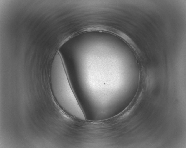 X0000062930857200601131112