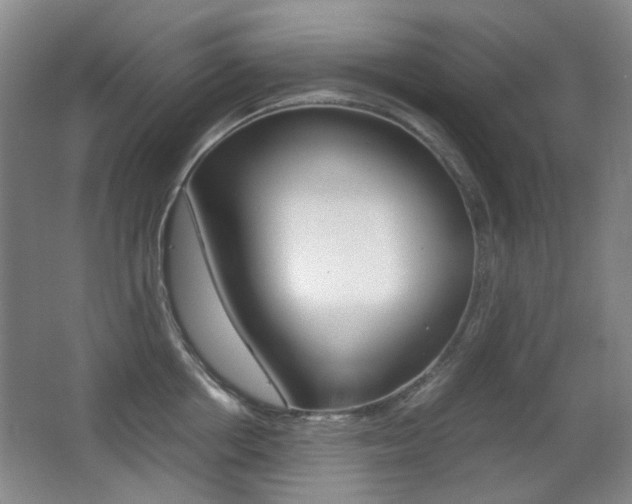 X0000062930858200601131112