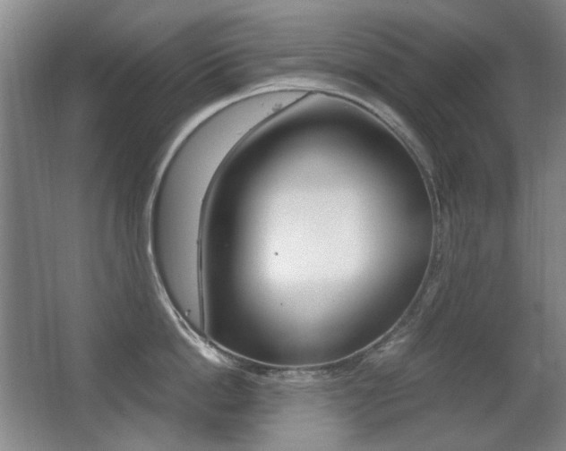 X0000062930862200601131112