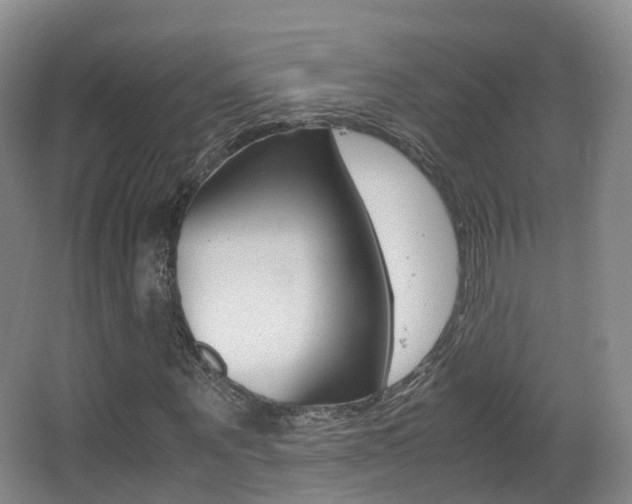 X0000062930867200601131111