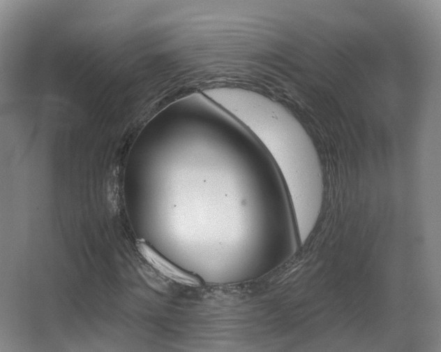 X0000062930868200601131111