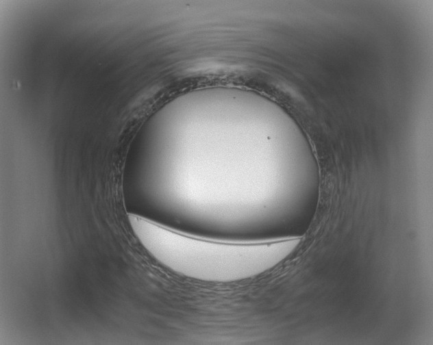 X0000062930869200601131111