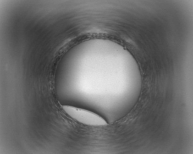 X0000062930870200601131111