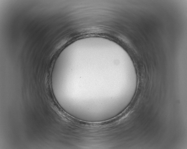 X0000062930873200601131111