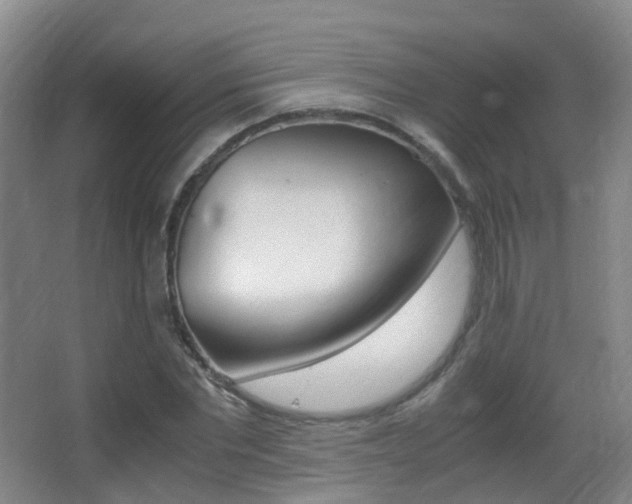 X0000062930877200601131111