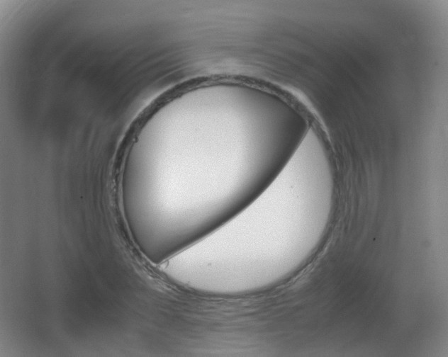 X0000062930879200601131111