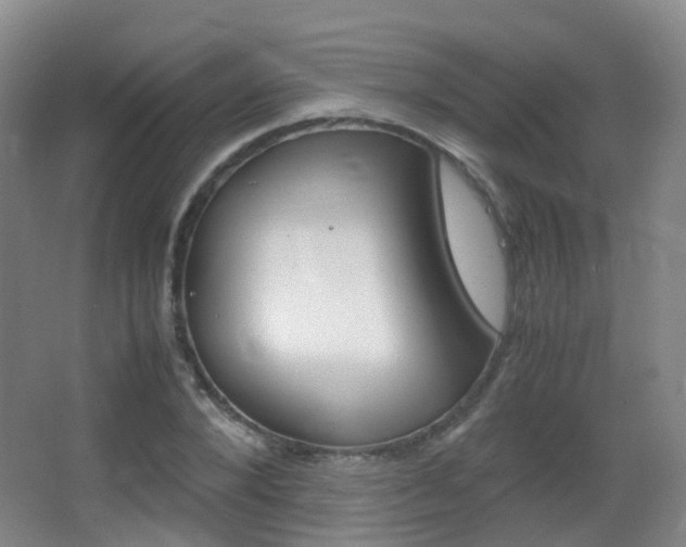 X0000062930880200601131111