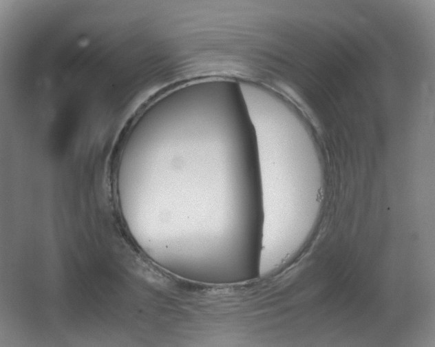 X0000062930883200601131111