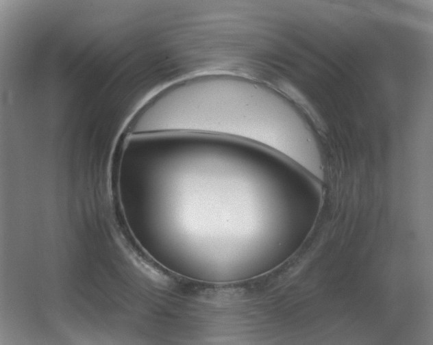 X0000062930884200601131111