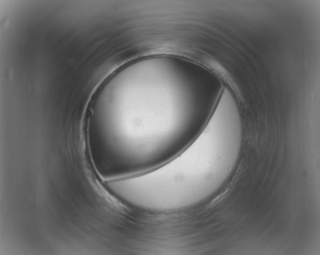 X0000062930892200601131111